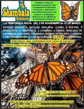 Paquete Monarca escolar